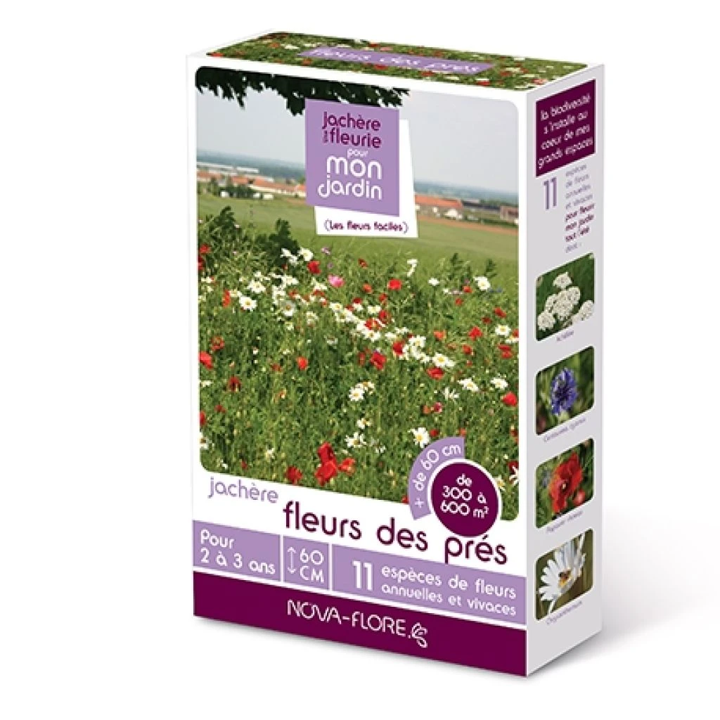 Jachère Fleurs Des Près 3 Jachère Fleurs Des Près