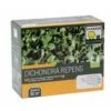 Graines De Dichondra Repens -Promesse De Fleurs Soldes Magasin DICHONDRA 500G 3284721009055 16074 1