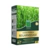Gazon Premium Regarnissage - Semences Enrobées - BHS -Promesse De Fleurs Soldes Magasin Gazon premium regarnissage Semences enrobees IF 17053 1