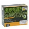 Graines De Gazon Kikuyu - Pennisetum Clandestinum 2 Graines De Gazon Kikuyu - Pennisetum Clandestinum -Promesse De Fleurs Soldes Magasin KIKUYU 500G 3284721011058 16075 1